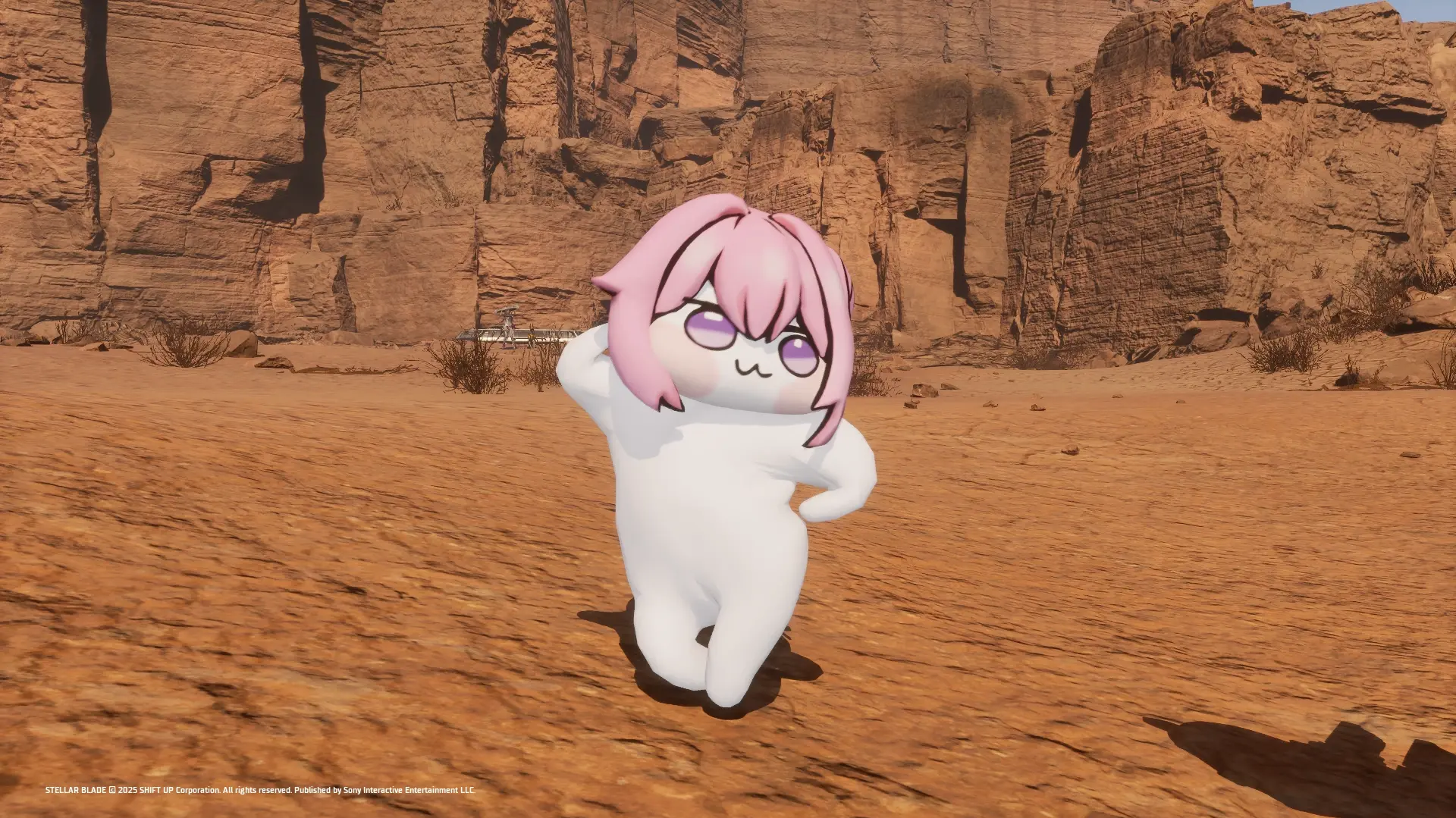 Followed the player's Pet Doro - Companion Mod